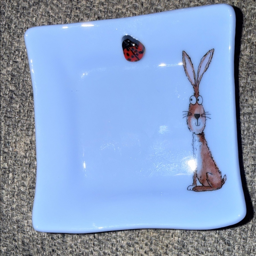 Cute Rabbit and Ladybug Square trinket  art Dish glass T30